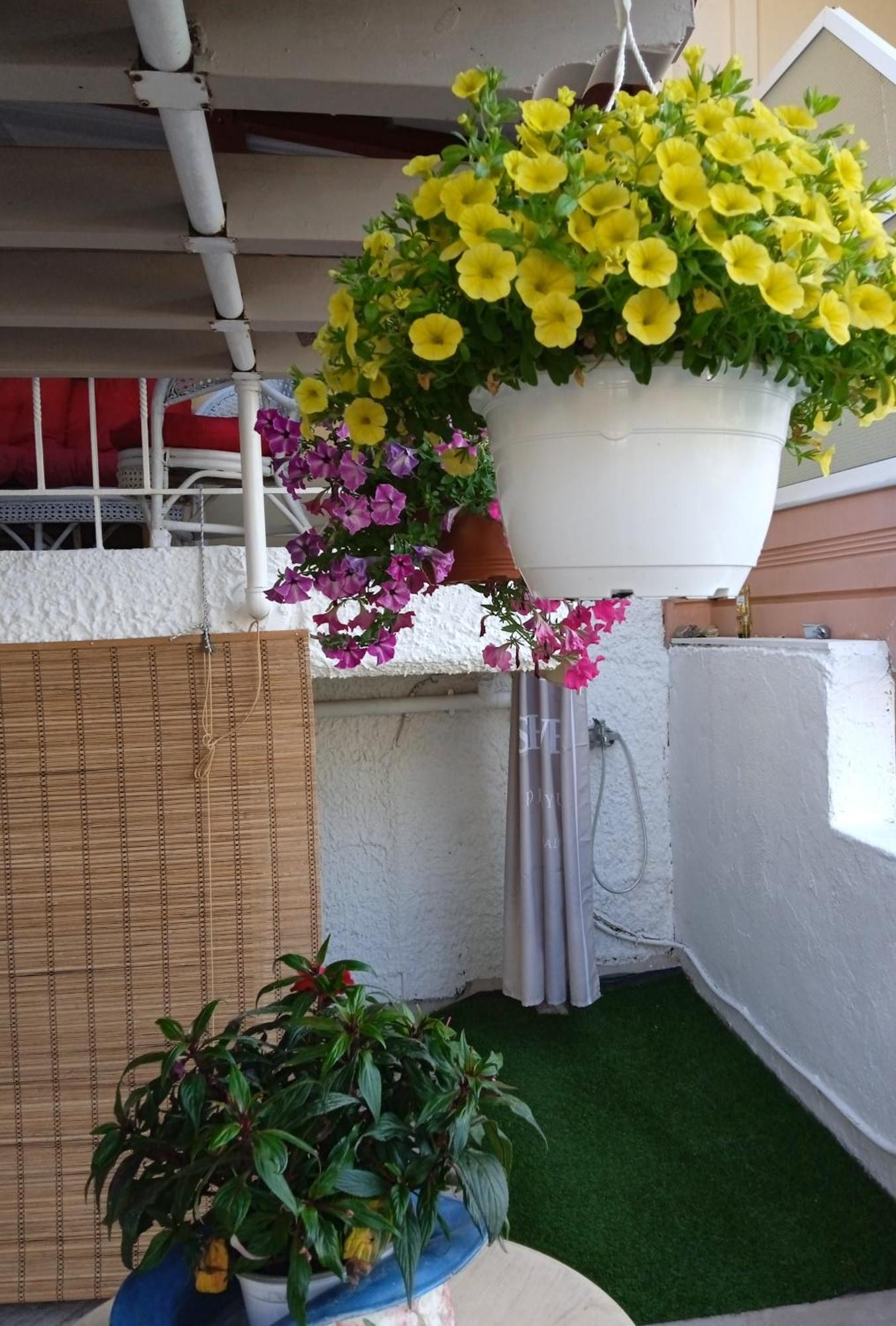 Αlexandras House Apartment Превеза Екстериор снимка